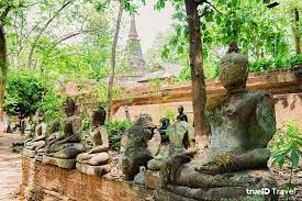 เที่ยวเชียงใหม่